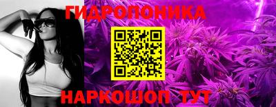 ALPHA PVP Камышлов