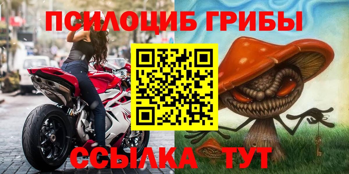 Тара  Псилоцибиновые грибы MAGIC MUSHROOMS  купить наркотики цена  Вход с VPN 