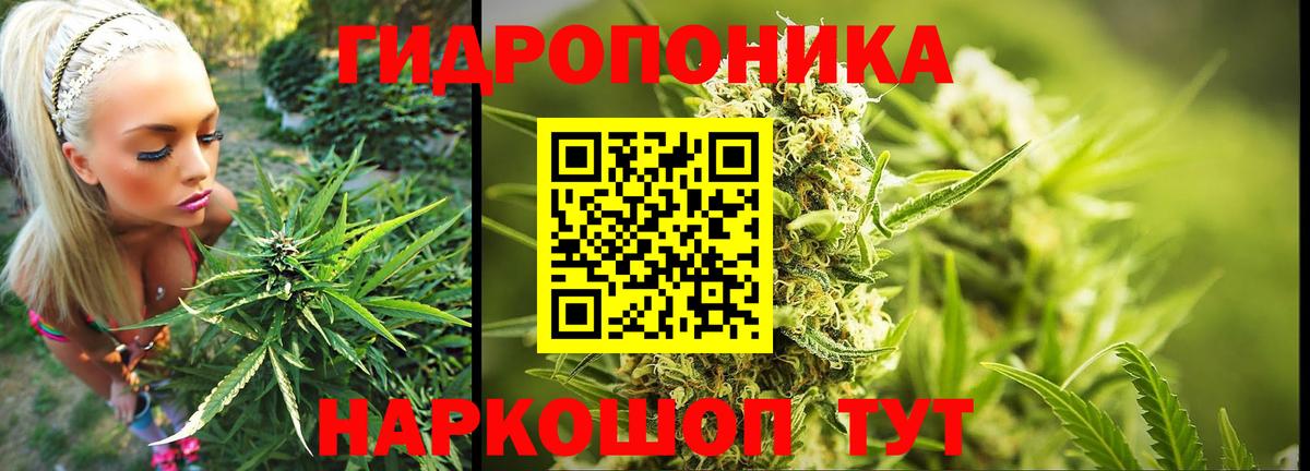 Бошки Шишки THC 21%  Канабис сатива  Вход с VPN  Тара 